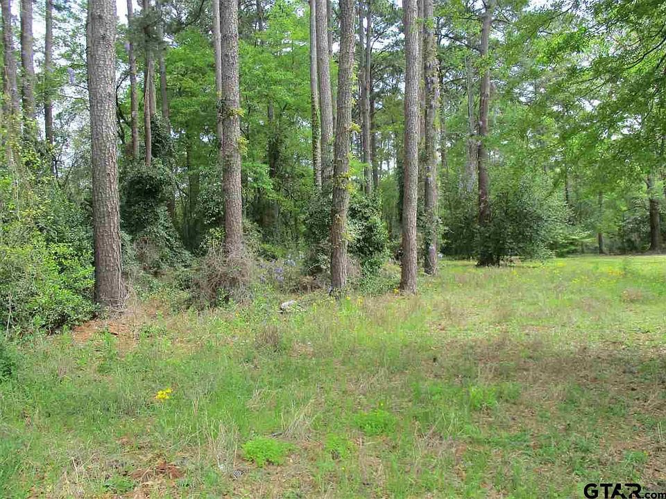2nd image of Timberline Dr