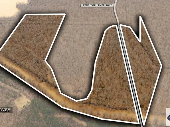 0 Ethridge Levee Rd, Greenfield, TN 38230