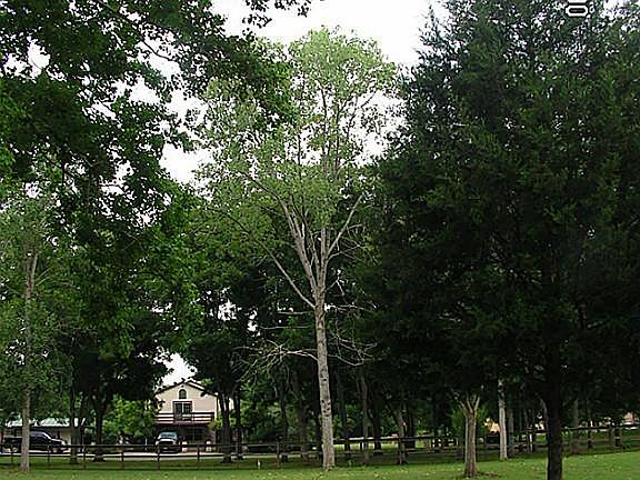 View of property looking to the South.