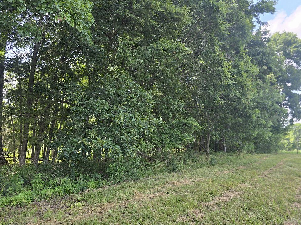 2nd image of 0 Nashville Hwy Lot 24B