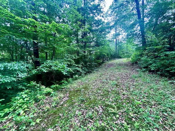 5 Antler Ridge Ln, Franklin, NC 28734