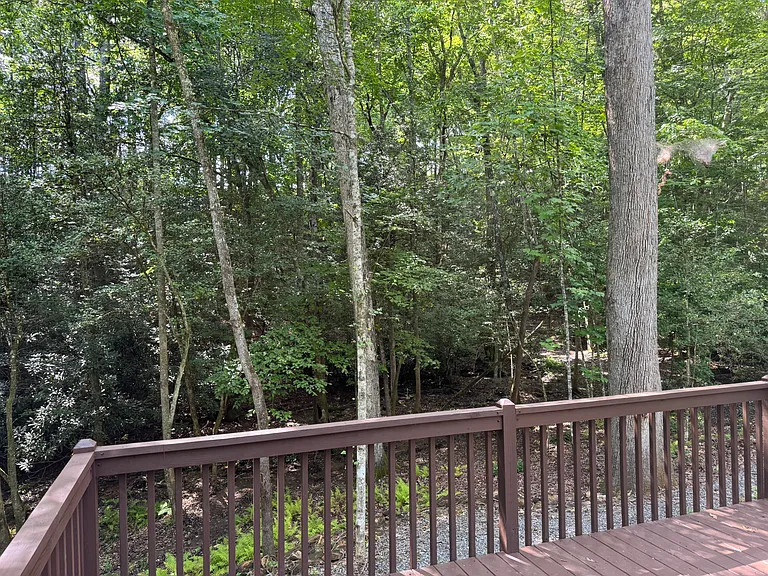 1254 Friendship Church Rd — Photo 11
