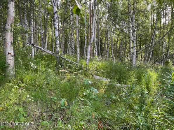 0 Road, Skwentna, AK 99667