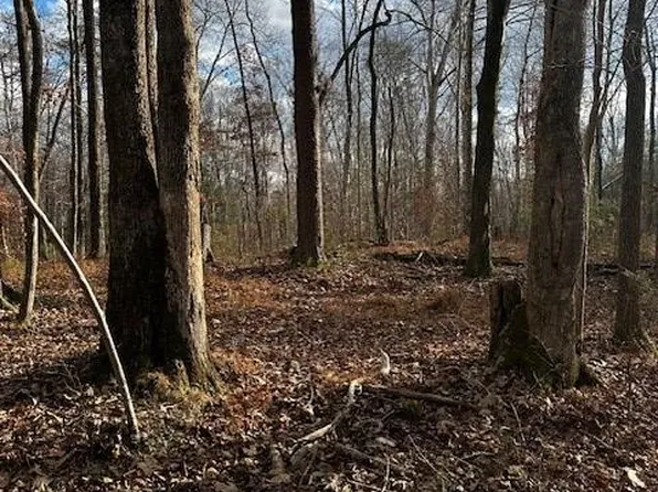 0 Timber Trl, Cookeville, TN 38501