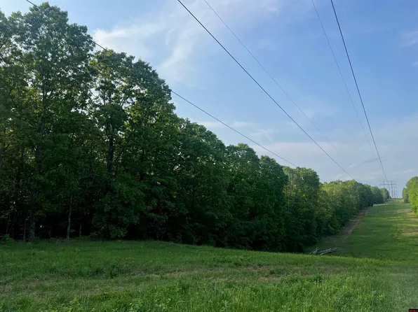 11544 County Road 708, Caulfield, MO 65626