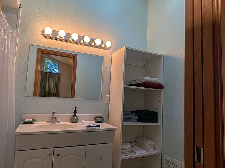 Skylight natural light in your vaulted ceiling large shower bathroom with plenty of storage space