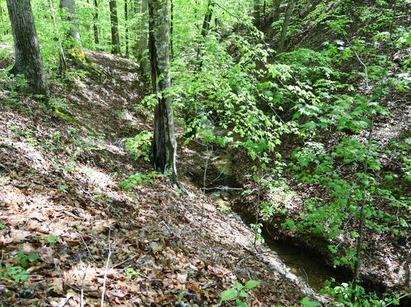 1290 Lower Licking Rd, Morehead, KY 40351