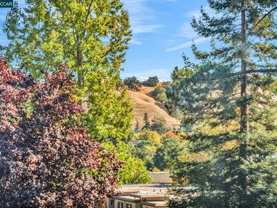 2080 Golden Rain Rd APT 2, Walnut Creek, CA, 94595