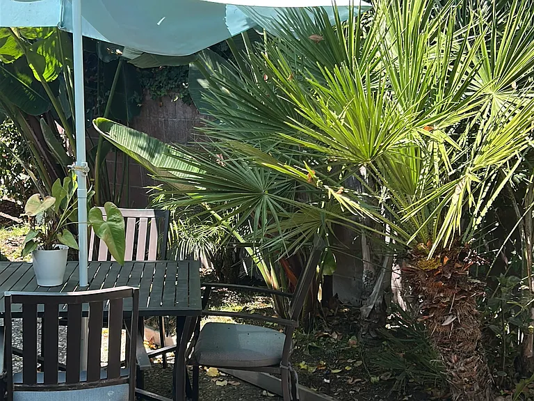 107 Naomi Ave — Photo 26