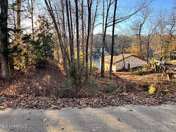 5th image of 0 Snow Lake Dr Lot 378