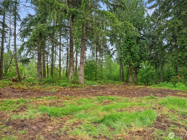 922 322nd Street Ct S, Roy, WA 98580