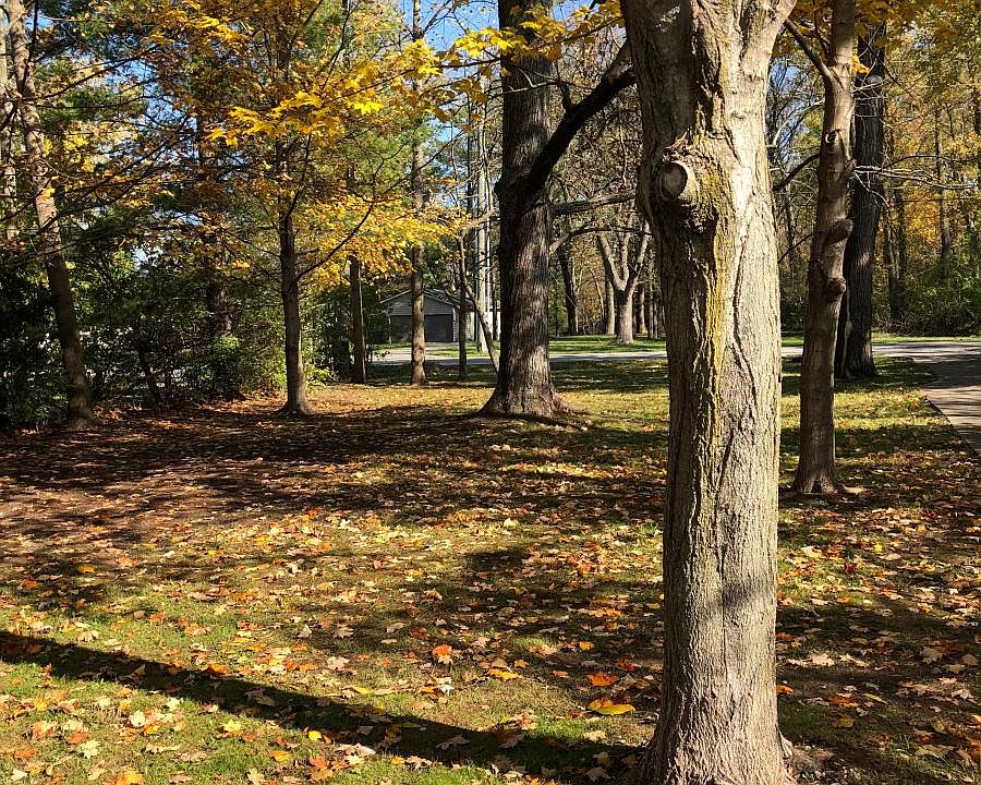 9112 Sargent Rd, Indianapolis, IN 46256 Zillow