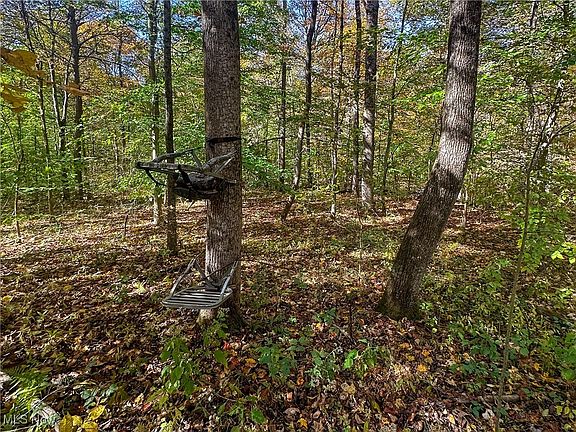 3rd image of 0 Clark Rd