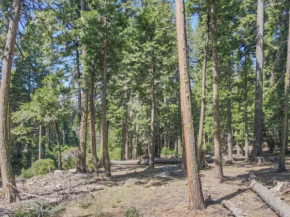403 Sierra Pkwy, Camp Connell, CA 95223