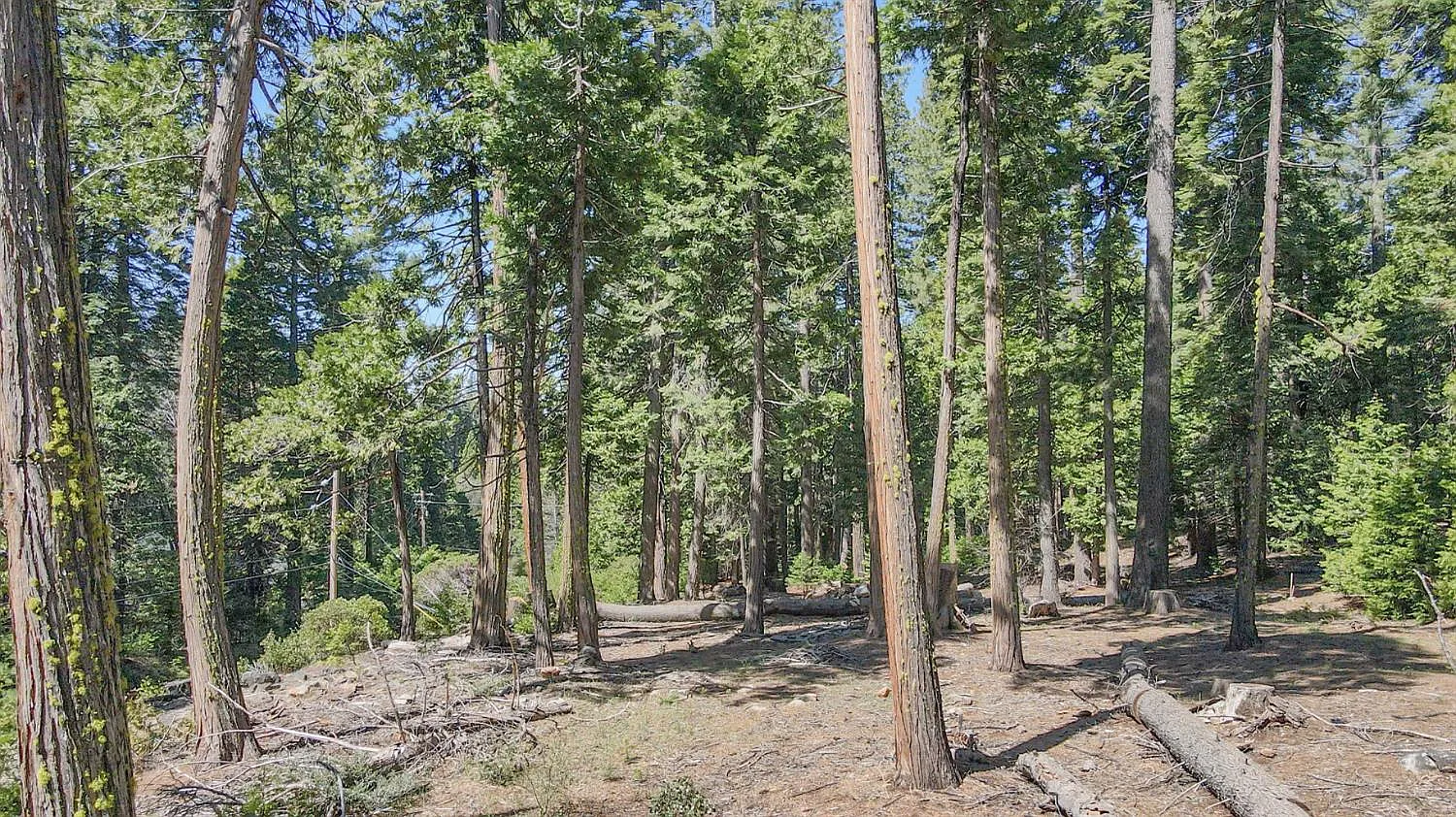 403 Sierra Pkwy photo 1