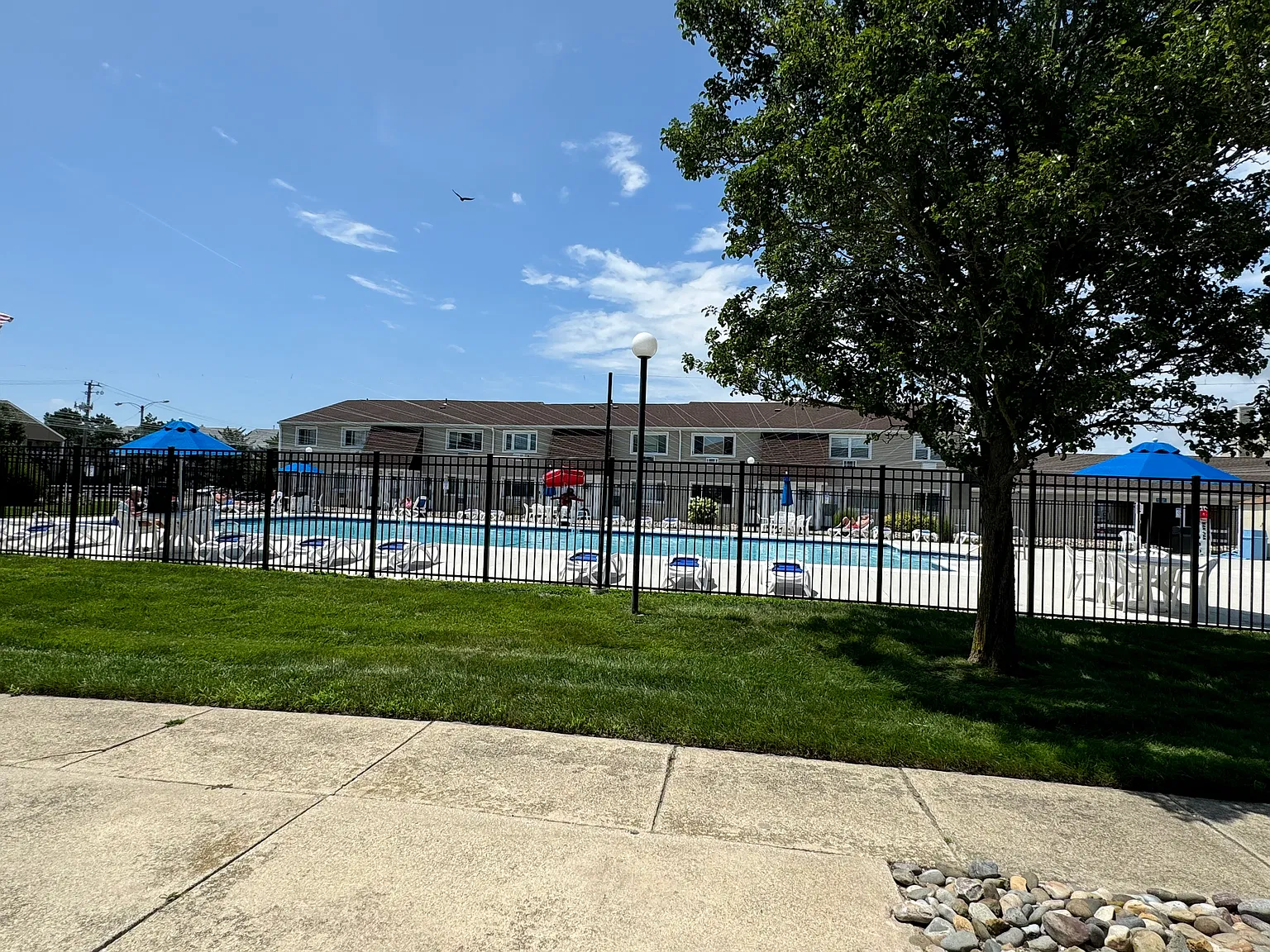 1 bed, 700 sqft, $1,855 — Photo 2
