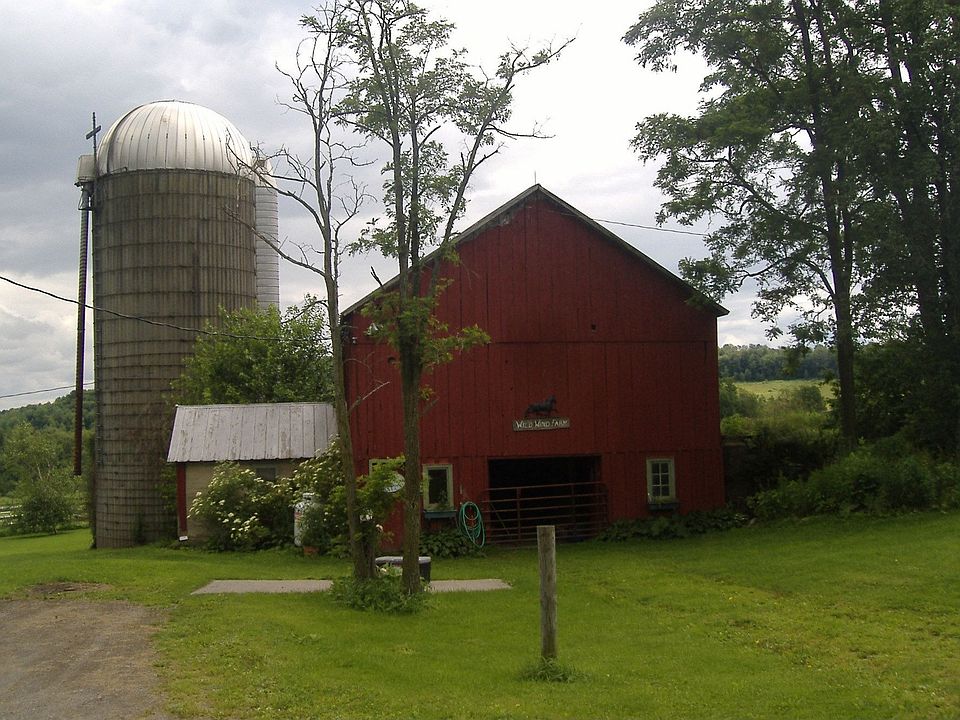 Horse Barn
