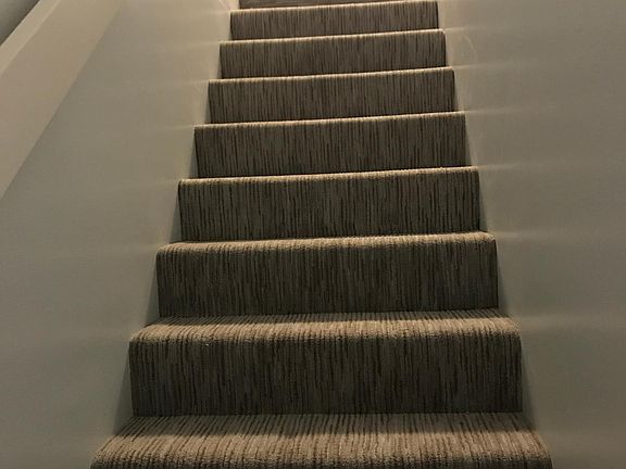 Carpeted Stairs up to FROG