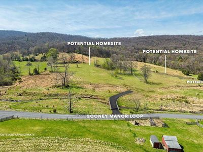 Gooney Manor Loop, Bentonville, VA, 22610
