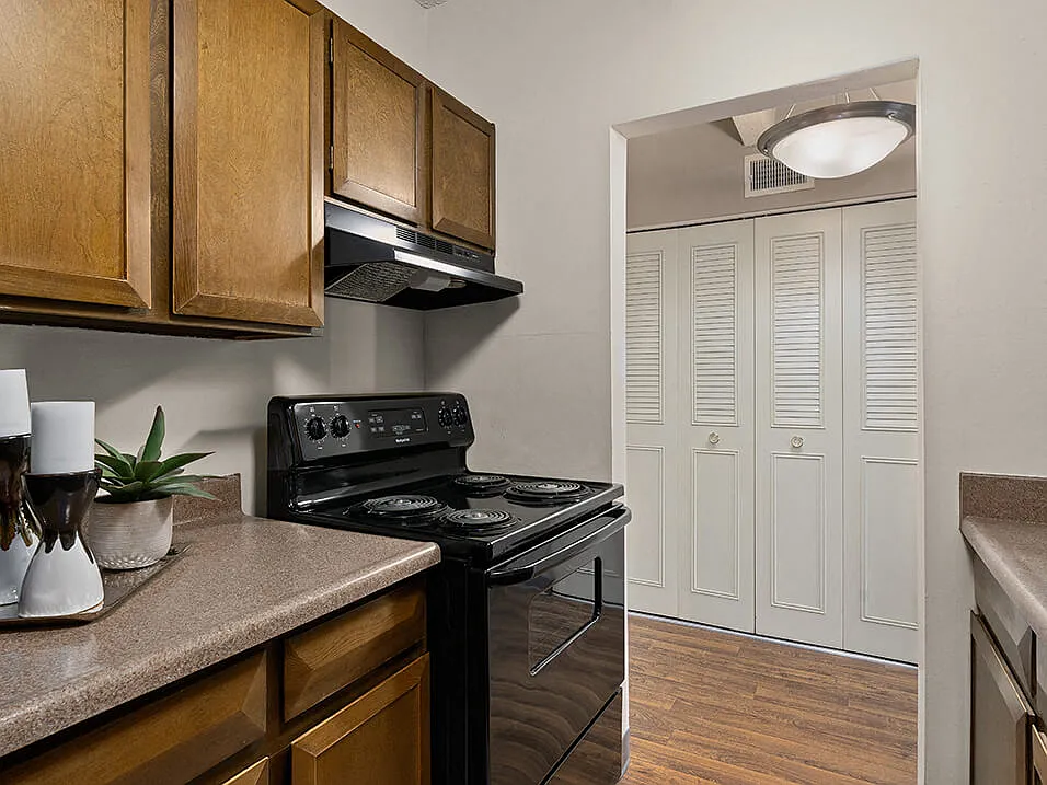 La Vida Buena Apartments — Photo 4