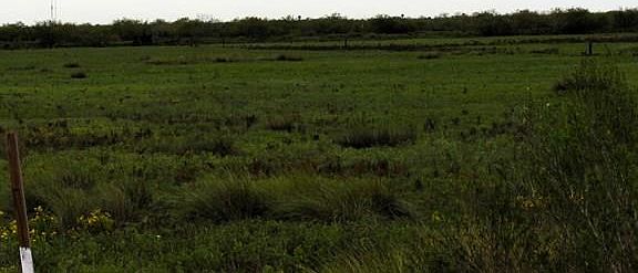 4th image of 0 Paredes Line Rd