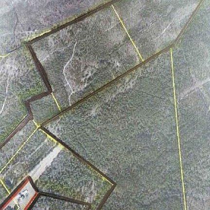 5th image of 4383 Dowd Dairy Road