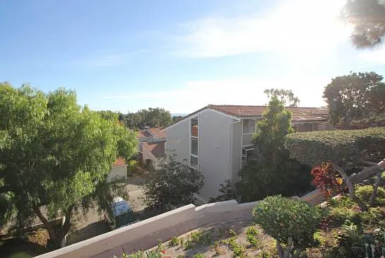 28310 Rey De Copas Ln — Photo 32