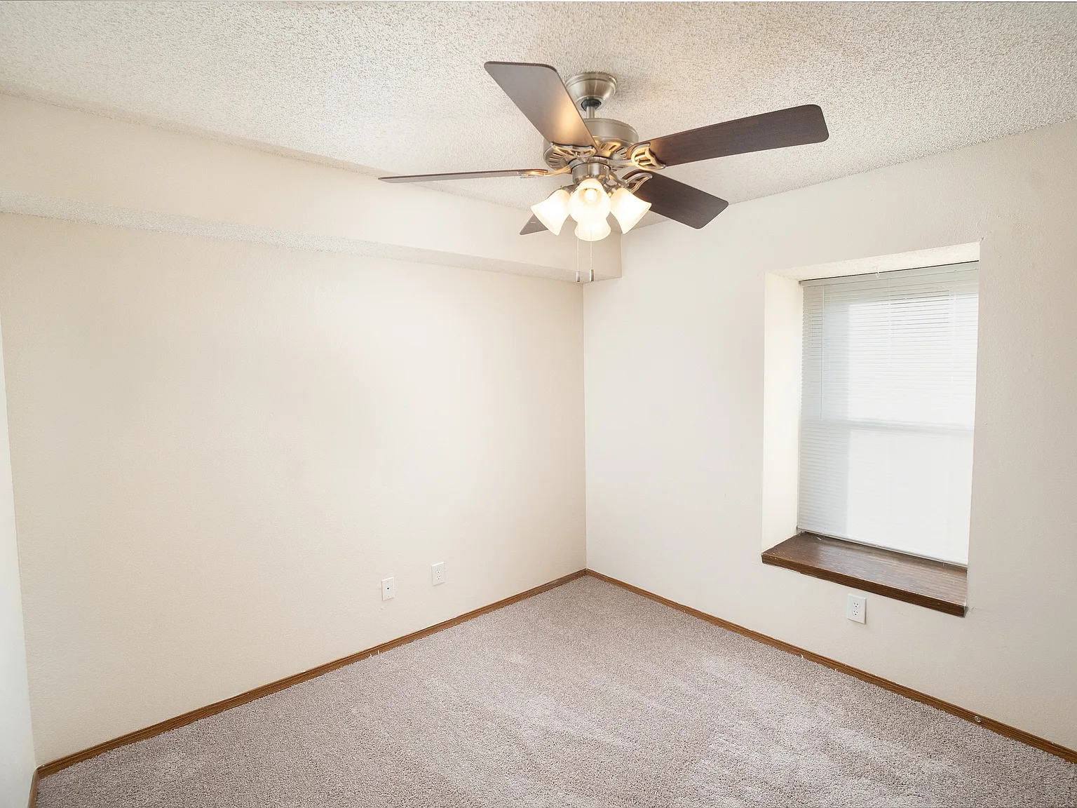 Catalpa East — Photo 4