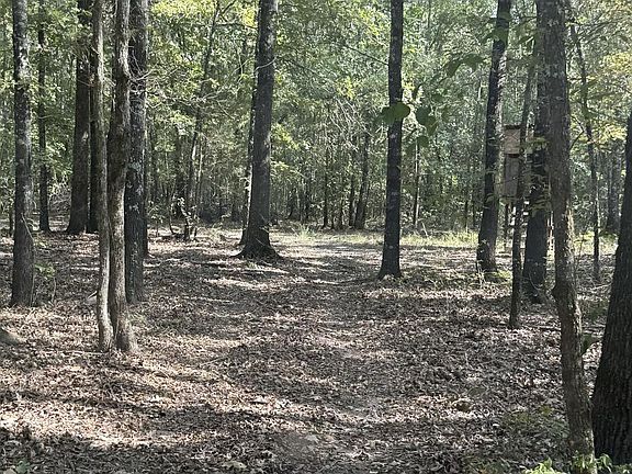 5th image of 371 County Road 4266
