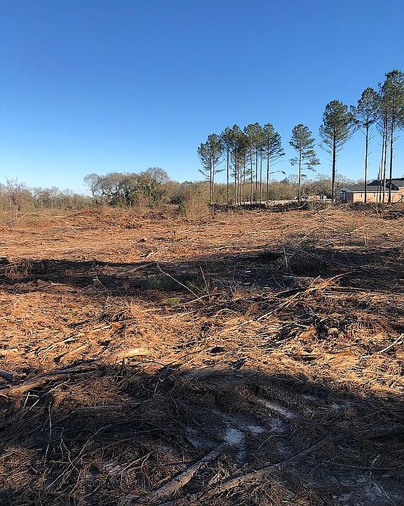 2nd image of Highway 87