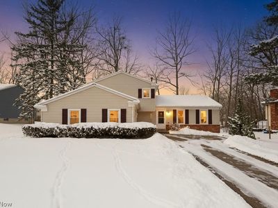 983 W Abbey Dr, Medina, OH, 44256