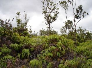 11 3305th #58, Volcano, HI 96785