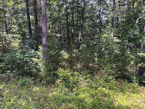 3rd image of 17 Cumberland Shores