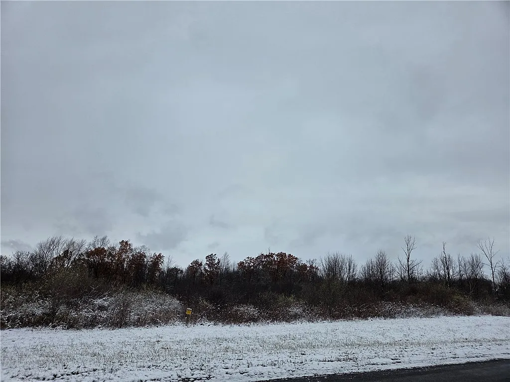 North Rd #11 photo 1