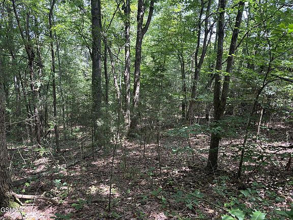 3rd image of 10 Red Bud Dr Lot 10
