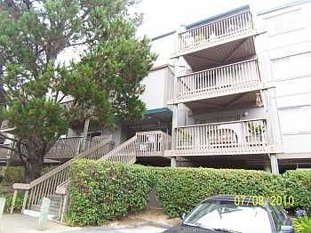 1st image of 361 Half Moon Ln APT 305