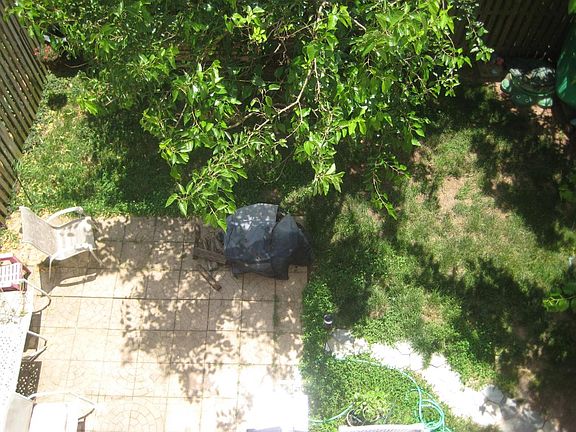 ariel view of backyard