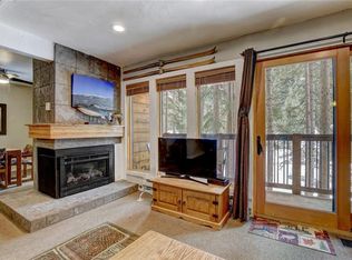 805 Columbine Rd APT 105, Breckenridge, CO 80424