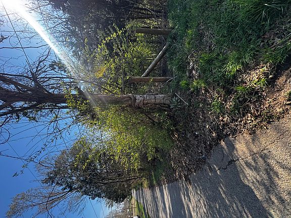 5th image of 0 Kirkham Rd