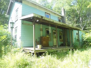 290 Sabin Rd, Spencer, NY 14883