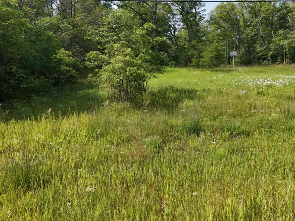 2717 S M 37, Baldwin, MI 49304