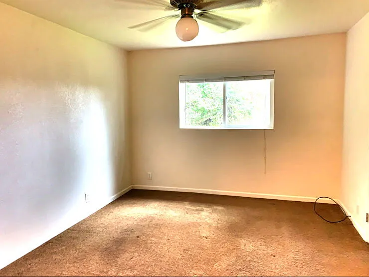 762 Chamberlain St — Photo 7