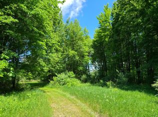 11136 Boyce Dr, Chelsea, MI 48118