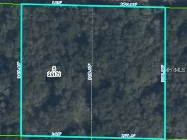 36030 Butternut Dr, Webster, FL 33597