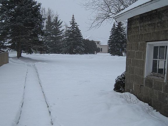 property goes to pine trees