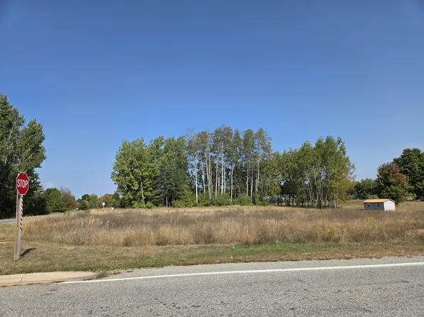 1001 El Camino Grande Dr, Weidman, MI 48893