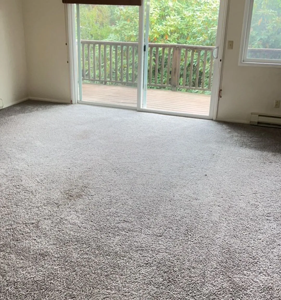 2 bed, 900 sqft, $1,595 — Photo 1