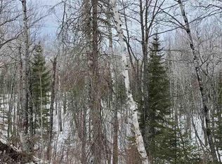 Tbd Long Lake Rd, Makinen, MN 55763