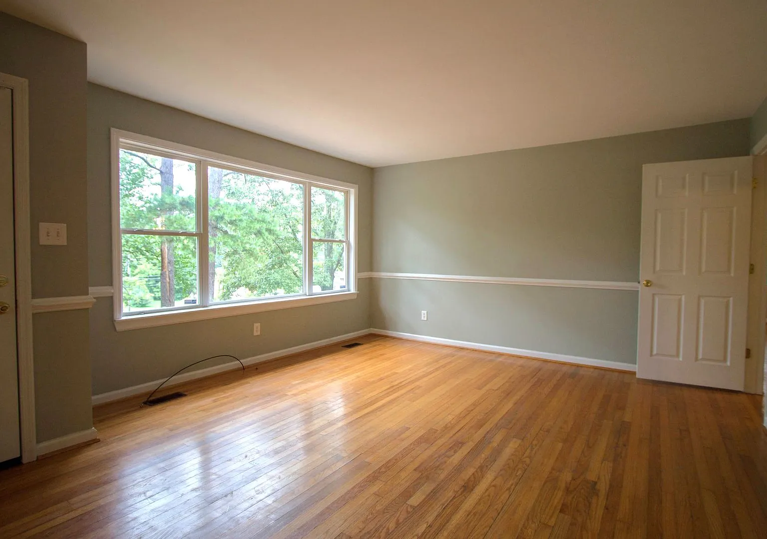 New For Rent! — Photo 3