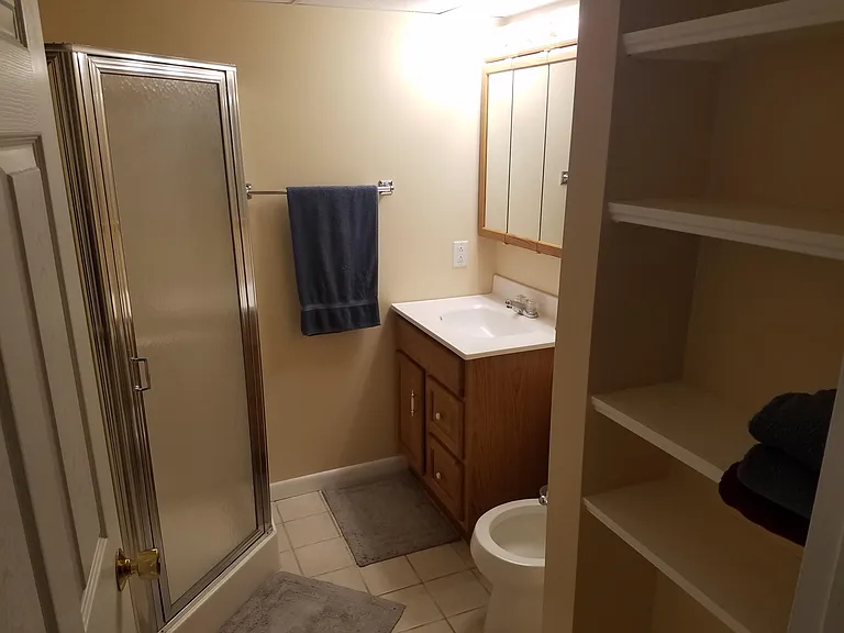 Lower level full bathroom